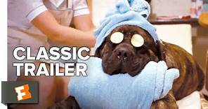 Hotel for Dogs (2009) Trailer #1 | Movieclips Classic Trailers