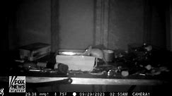Rodent caught cleaning up retired man’s outdoor shed in overnight footage