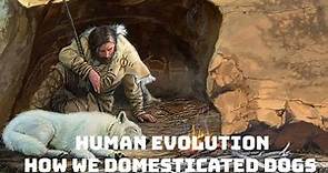 Human Evolution: Episode 1 - How We Domesticated Dogs