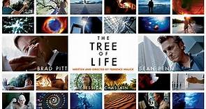 The Tree of Life 2011 Full Movie