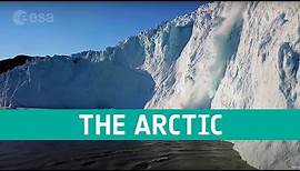 The Arctic: a delicate icy ecosystem