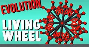Evolving the Living Wheel! - Evolution Simulator