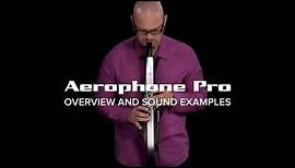 Roland Aerophone Pro: Overview and Sounds