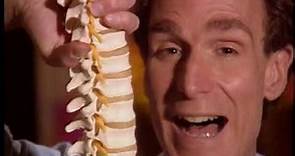 Bill Nye The Science Guy - S02E08 - Bones And Muscles - Best Quality
