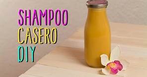Shampoo Casero - Para Cabello Seco y Cabello Graso - Receta Natural - Catwalk