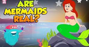 Are Mermaids Real? | Story of Mermaids | The Truth Behind the Mermaid Myth | The Dr. Binocs Show