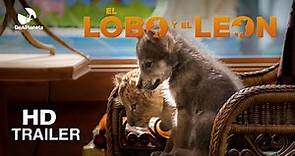 EL LOBO Y EL LEÓN | TRÁILER OFICIAL - En cines 5 de noviembre