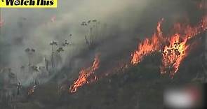 澳大利亚森林大火肆虐致多人死亡 现场宛如炼狱