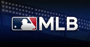 Minor League Ballpark Guides | MLB.com