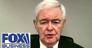 Newt Gingrich: There is a long history of the UN siding with terrorists
