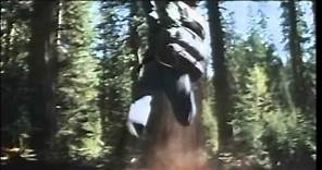 Bushwacked Trailer 1995