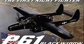 P-61 Black Widow | The American Night Fighter | WW2 Twin Engine Named for the North American Spider