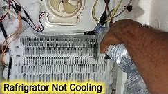 Samsung Double Door Rafrigrator Not Making Ice In Freezer chamber