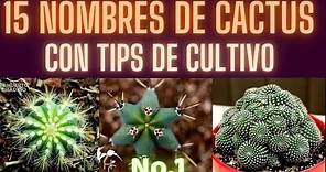 NOMBRES DE CACTUS No.1 || HUERTO CITADINO