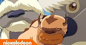 Avatar - La leggenda di Aang | Appa il bisonte volante | Nickelodeon Italia