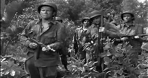 Película Objetivo Birmania ( 1945 ) - D.Latino