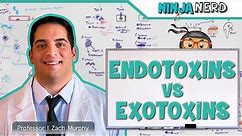Endotoxins vs. Exotoxins