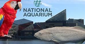 National Aquarium (Baltimore) Tour & Review with The Legend
