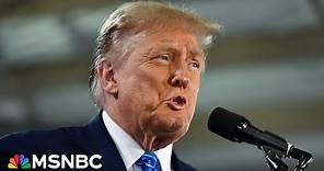 ‘Trump is losing it’: New scrutiny on Trump’s ‘gibberish’ at campaign rallies