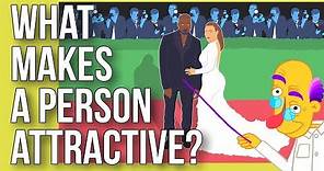 What Makes a Person Attractive?