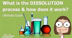 💯 What is the DISSOLUTION process and how does it work?