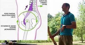 Il controllo della propria postura: fase 5 nella sequenza di tiro con l'arco FIARC