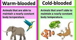 Warm blooded vs cold blooded 🤔| Types of animals | What's the difference?