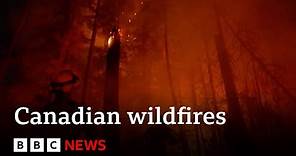 Canadian wildfires: Yellowknife evacuates 20,000 people - BBC News