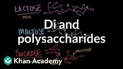Carbohydrates- di and polysaccharides | Chemical processes | MCAT | Khan Academy