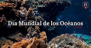 Día Mundial de los Océanos: ¿Cuál es su estado y por qué se celebra el 8 de junio? | El Espectador