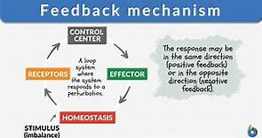 Feedback mechanism - Definition and Examples - Biology Online Dictionary