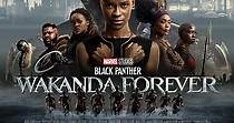 Black Panther: Wakanda Forever - película: Ver online