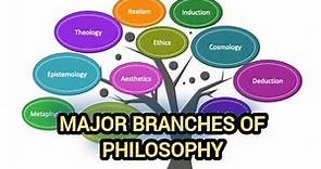 Major Branches of Philosophy - Overview of Ethics, Metaphysics, Epistemology, etc.