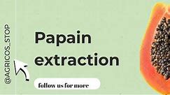 Papain extraction everything you need to know about #papain extraction