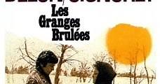 Las granjas ardientes (1973) Online - Película Completa en Español - FULLTV