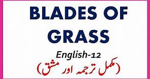 The blades of Grass (poem) by Stephen Crane -English 12