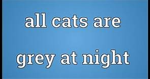 All cats are grey at night Meaning