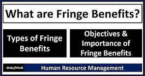 What are Fringe Benefits? Types, Objectives and Importance of Fringe Benefits