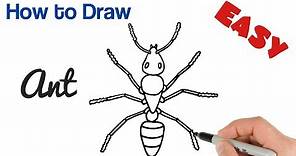 How to Draw an Ant easy step by step drawing for beginners