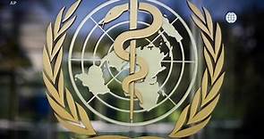 Preparing the World Health Organization for the Next Health Crisis