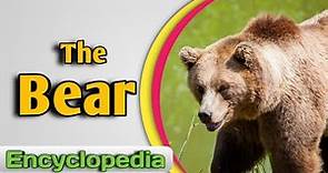 The Bear – Audio / Video Encyclopedia