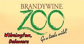 Brandywine Zoo Full Tour - Wilmington, Delaware