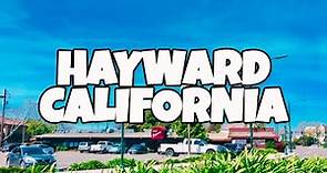 Best Things To Do in Hayward California