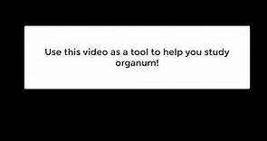 Introduction to Music History - Types of Organum