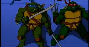 Teenage Mutant Ninja Turtles (TV Series 2003–2010)