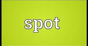 Spot Meaning