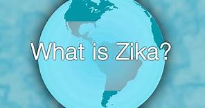 Zika Virus 101