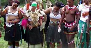 The traditional Zulu wedding (Udwendwe) celebration