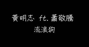 黃明志 - 流浪狗 ft.蕭敬騰 歌词版