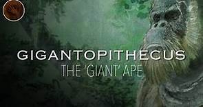 Gigantopithecus: The Largest Ape that Ever Existed | Prehistoric Humans Documentary